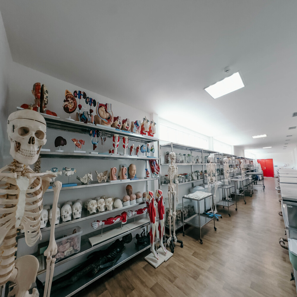Laboratório Anatômico