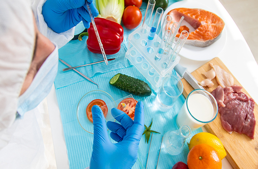 Controle de Qualidade e Segurança dos Alimentos