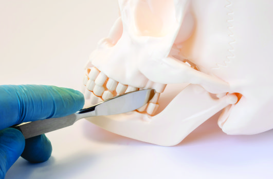 Cirurgia e Traumatologia Buco-Maxilo-Facial